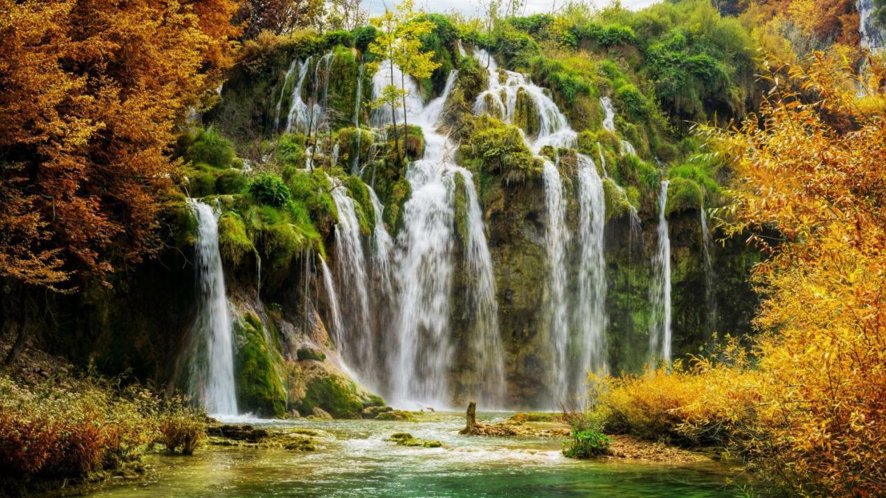 B&B Plitvice Lakes Villa Prica Plitvica selo Extérieur photo